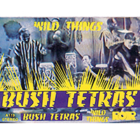 Bush Tetras