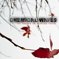 Chemical Waves