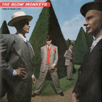 Blow Monkeys