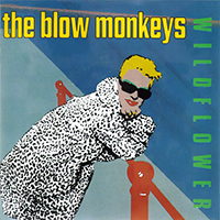 Blow Monkeys