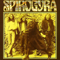 Spirogyra