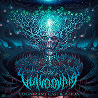 Vulvodynia