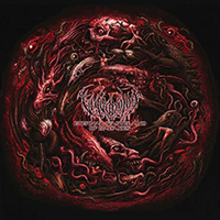 Vulvodynia