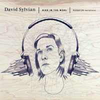 David Sylvian