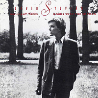 David Sylvian