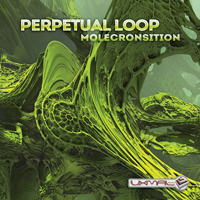 Perpetual Loop