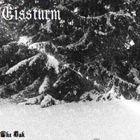 Eissturm