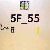 5F_55