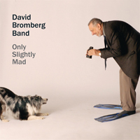 Bromberg, David