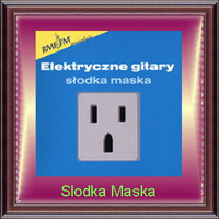 Elektryczne Gitary