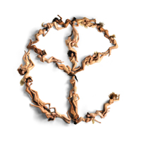 Yellow Claw