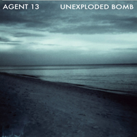 Agent 13