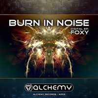 Burn In Noise