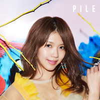 Pile (JPN)