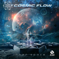 Cosmic Flow