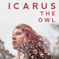 Icarus The Owl