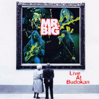 Mr. Big (USA)