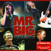 Mr. Big (USA)