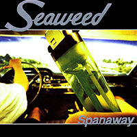 Seaweed