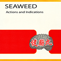 Seaweed