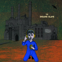 Insane Slave