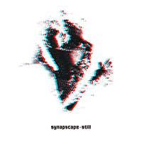 Synapscape