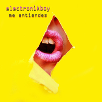 Electronikboy