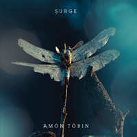 Amon Tobin