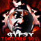 Tortured Soul (Gypsy Solo Album)