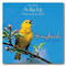 Songbirds By The Stream - Dan Gibson's Solitudes (Gibson, Dan)
