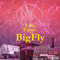Big Kahuna Og & Fly Anakin - Life & Times Of Bigfly (Ep)