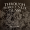 Through Darkened Glass - Palmer, David (David Palmer, Dee Palmer)