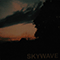 Took The Sun - Skywave