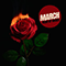 Fear Of Roses (Single)