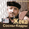 Сосны - кедры (полная версия) - Жека (Евгений Григорьев, Zeka, Zheka)