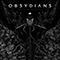 Psychodynamics (feat. Bjorn ''Speed'' Strid, Dirk Verbeuren) (Single) - Obsydians (ex-Sybreed)