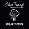 Break It Down (EP) - BlueForge (RooDee & Bear)