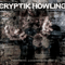 Boundless Spiritual Disease - Cryptik Howling