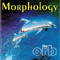 Morphology