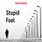 Stupid Fool (Single)