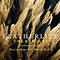Featherlite: The Remixes - Darwinmcd
