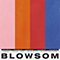 Colours (Single) - BLOWSOM (Blowsom)