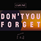 Don't You Forget (Single)