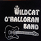 Slow Learner - Wildcat O'Halloran (The Wildcat O'Halloran, The Wildcat O'Halloran Band)