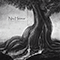 Niu Heimar (feat. Danheim) (Single) - Danheim (Mike Olsen)