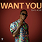 Want You - Oxlade (Ikuforiji Olaitan Abdulrahman)