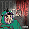 Teenage Dirtbag (with Big Melancholy) (Single)