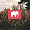 Elephant (EP)