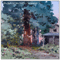 Sequoia (Single) - BVG