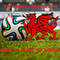 Bring It Home To Wales (Single)